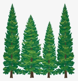 Pine Tree Branch Png Images Free Transparent Pine Tree Branch Download Kindpng - pine trees roblox