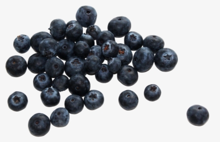 Download Berries Png Picture 049 - Blueberries Png, Transparent Png, Free Download