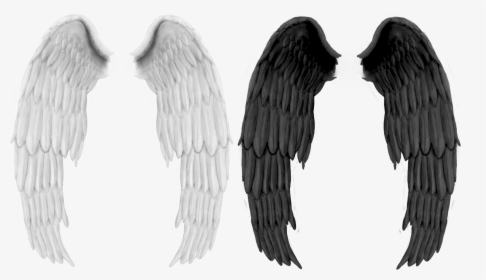 Black Wings Png Image - Dark Angel Black Wings, Transparent Png, Free Download