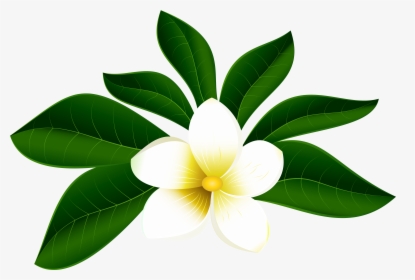 Tropical Exotic Flower Png Clip Art Imageu200b Gallery - Tropical Flowers Png, Transparent Png, Free Download