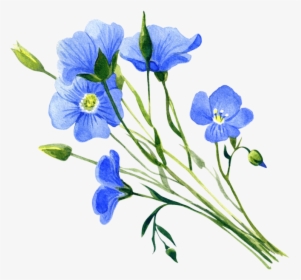 Dayflower, HD Png Download, Free Download