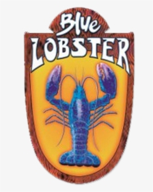 Blue Lobster - Blue Lobster Playa Del Carmen, HD Png Download, Free Download
