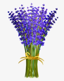 Lavender Bunch, Lavender Of Provence, French Lavender - Lavender Clipart, HD Png Download, Free Download