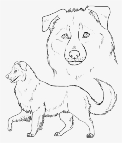 Puppy Australian Shepherd Drawings, HD Png Download, Free Download