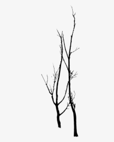 Dead Trees Vector - Tree, HD Png Download, Free Download