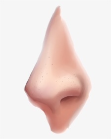Transparent Nose Clip Art - Nose Png, Png Download, Free Download