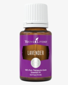 Lavender Essential Oil Uses, HD Png Download, Free Download