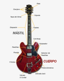Partes De La Guitarra Eléctrica - Partes De La Guitarra De Jazz, HD Png Download, Free Download