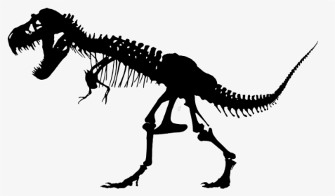 T Rex Skeleton, HD Png Download, Free Download