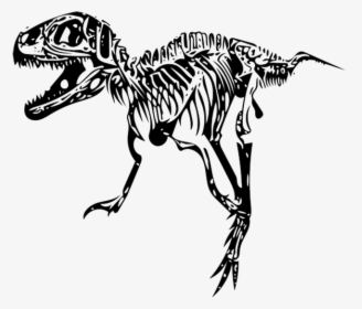Tyrannosaurus, T-rex, Fossil - T Rex Fossil Png, Transparent Png, Free Download