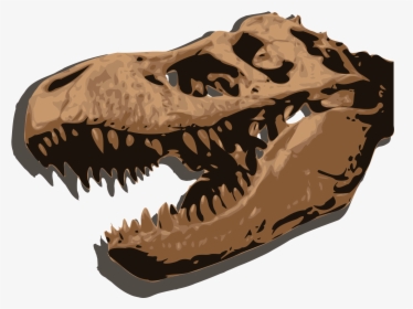 Transparent Tyrannosaurus Rex Png - Fossil Meaning In Urdu, Png Download, Free Download