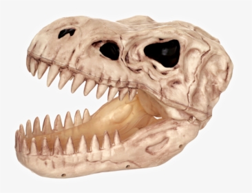 T-rex - T Rex Skull Candy Bowl, HD Png Download, Free Download