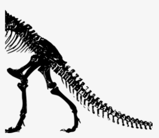 Dinosaur Skeleton Clip Art 386 Dinosaur Skeleton Clip - Jurassic Park T Rex Skeleton, HD Png Download, Free Download