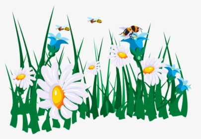 Flowers, Bees, Garden, Green, Grass, White, Daisy - Bees And Flowers Clipart, HD Png Download, Free Download