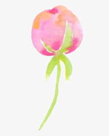 A Bunch Of Flowers Cartoon Transparent - Prickly Rose, HD Png Download, Free Download