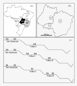 Mapa Do Brasil, Mostrando A Regio Dos Cerrados E Os - Illustration, HD Png Download, Free Download