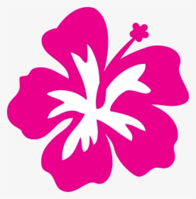 Pink Flower Cartoon - Hibiscus Flower Clip Art, HD Png Download, Free Download