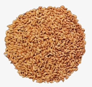 Food,whole Grain,brown Rice,grass - Brown Rice Png, Transparent Png, Free Download