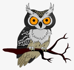Clip Art Collection Of Free Crazed - Clipart Halloween Owl, HD Png Download, Free Download