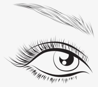 Home Of The $60 Lash Extension - Eyelash, HD Png Download, Free Download