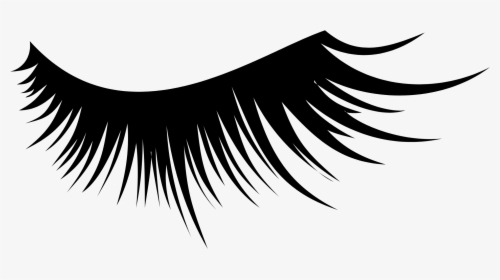 Eye, Brow & Lashes Cosmetics Bulk Logo Download On - Lashes Png, Transparent Png, Free Download