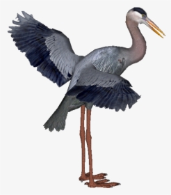 Download Heron Png Hd For Designing Projects - Blue Heron Png, Transparent Png, Free Download