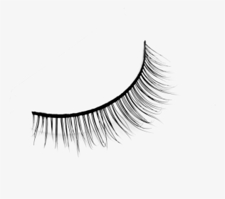 Transparent Eyelashes Clipart - Eyelash Extensions, HD Png Download, Free Download