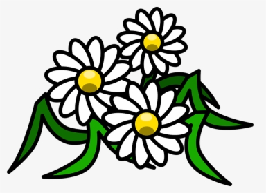 Flowers Daisy White Floral Blossom Bloom Beauty - White Flower Clip Art, HD Png Download, Free Download