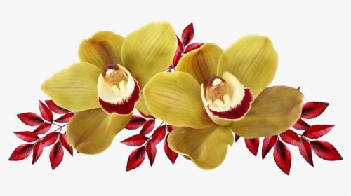 Flowers, Orchids, Yellow, Exotic, Red Leaves, Cut Out - Artificial Flower, HD Png Download, Free Download