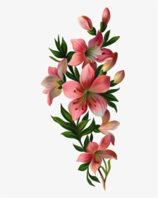 Mq Pink Lily Flowers Flower Garden Nature - Flowers With Leaves Png, Transparent Png, Free Download