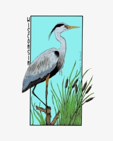 Great Blue Heron, HD Png Download, Free Download