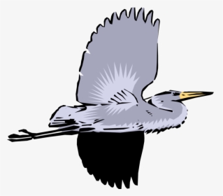 Vector Illustration Of Great Blue Heron Crane Bird - Great Heron, HD Png Download, Free Download