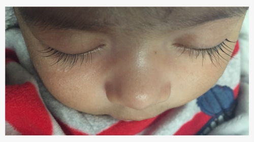 Eyelashes Of A 2 Month Old Baby Boy - 1 Month Old Baby Eyelashes, HD Png Download, Free Download