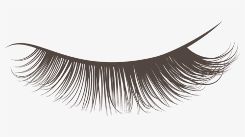 Eyelash Extension Singapore - Eyelash Png, Transparent Png, Free Download