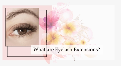Eyelash Extensions, HD Png Download, Free Download