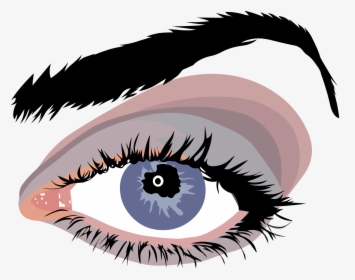 Transparent Eyelashes Clipart - Eyes Look Transparent Png, Png Download, Free Download