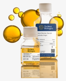 Nucleus Biologics Fetal Bovine Serum - Plastic Bottle, HD Png Download, Free Download