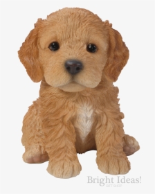 Cockapoo Vivid Arts Pet Pals Puppy Dog Real Life - Cockapoo, HD Png Download, Free Download