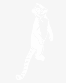 Boca Lemur Logo - Johns Hopkins Logo White, HD Png Download, Free Download