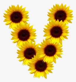 #letras #v @zeezii88 Frases #palabras #girasol #girasoles - Flower Realistic Sunflower Clipart, HD Png Download, Free Download