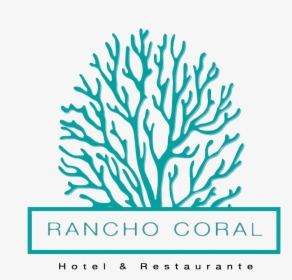 Rancho Coral - Transparent Coral Reef Icon, HD Png Download, Free Download