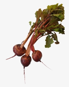 Beets - Beet Greens, HD Png Download, Free Download