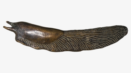 Slug Png - Bronze Sculpture, Transparent Png, Free Download