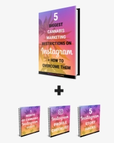 Instagram Png , Png Download - Flyer, Transparent Png, Free Download