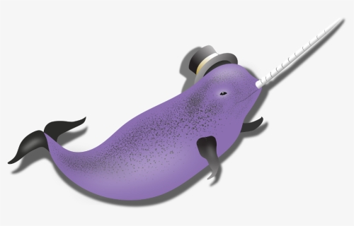 The Narwhal App Dives Deep Into Trading Data For You, - Slug, HD Png Download, Free Download