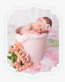 Newborn Charlottephotographer About-frame - Baby, HD Png Download, Free Download