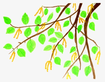 รูป การ์ตูน ธรรมชาติ Png, Transparent Png, Free Download