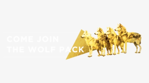 Wolfpack, HD Png Download, Free Download