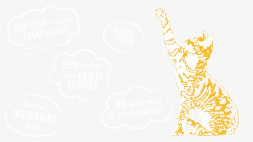 Illustration, HD Png Download, Free Download