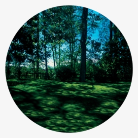 Apollo Meadow - Cs-0109 - Circle, HD Png Download, Free Download
